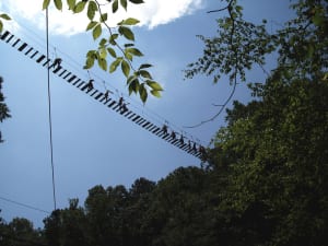 The suspension bridge offers spectacular, if somewhat shaky, views of the gorge below.