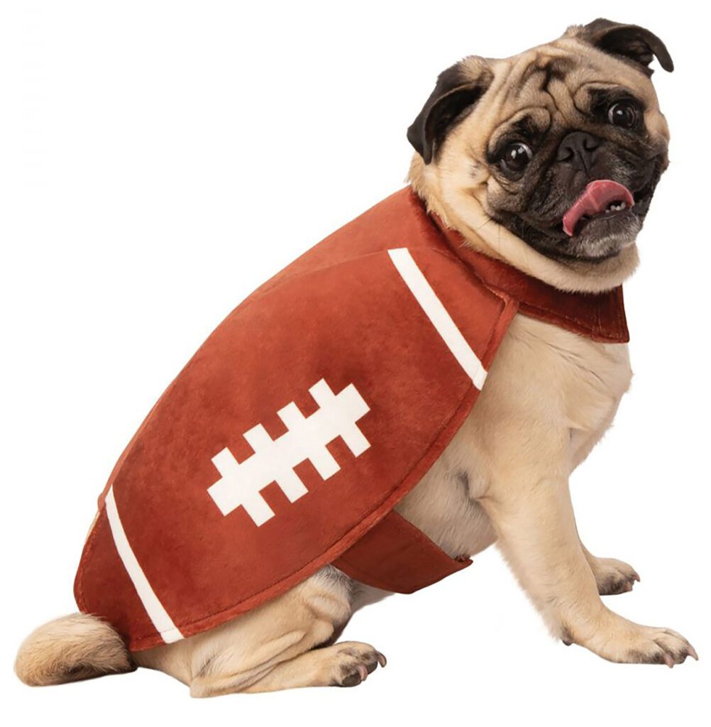 Football pet costume by Rubie’s, available for $26.99 at Target.