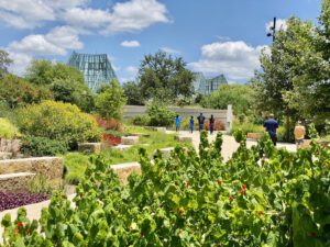 The San Antonio Botanical Garden is the perfect green escape from the city center.