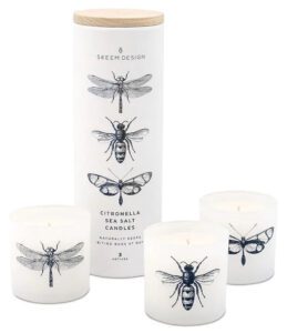 Citronella Votive Set