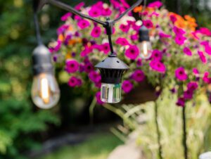 BiteFighter Mosquito Repellent LED String Lights