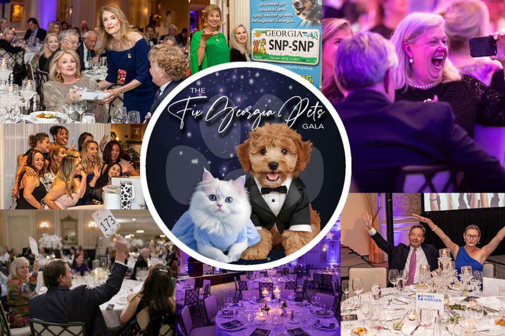 simply-buckhead-fgp-gala