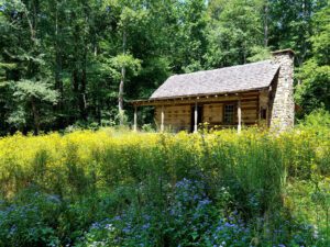 Named for Elias Wood, a landowner who once held land around the current Atlanta History Center campus, The Wood Cabin sits in a meadow in Swan Woods.