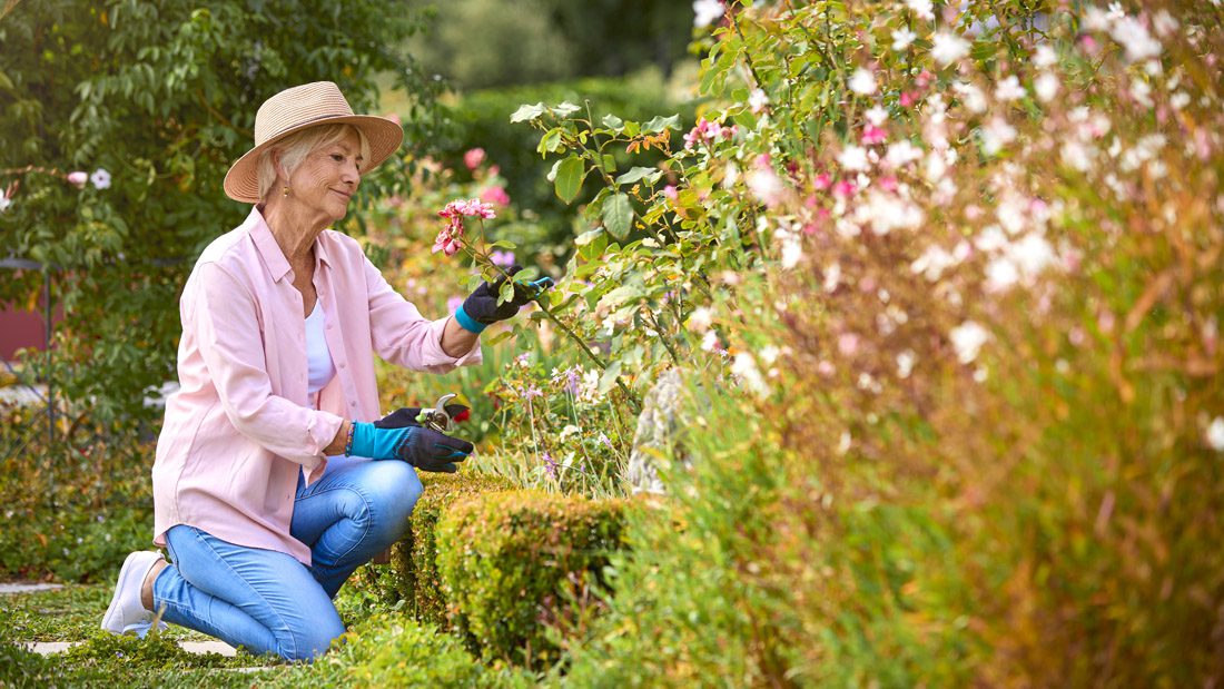 Master gardening coursework includes projects that improve the community.
