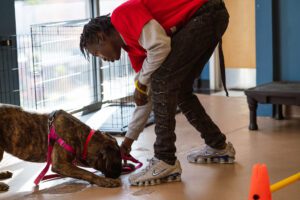 The Canine CellMates team