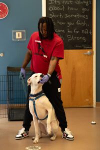 A canine training program helps rehabilitate the formerly incarcerated