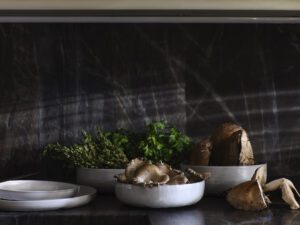 The Meloy Dinnerware Collection