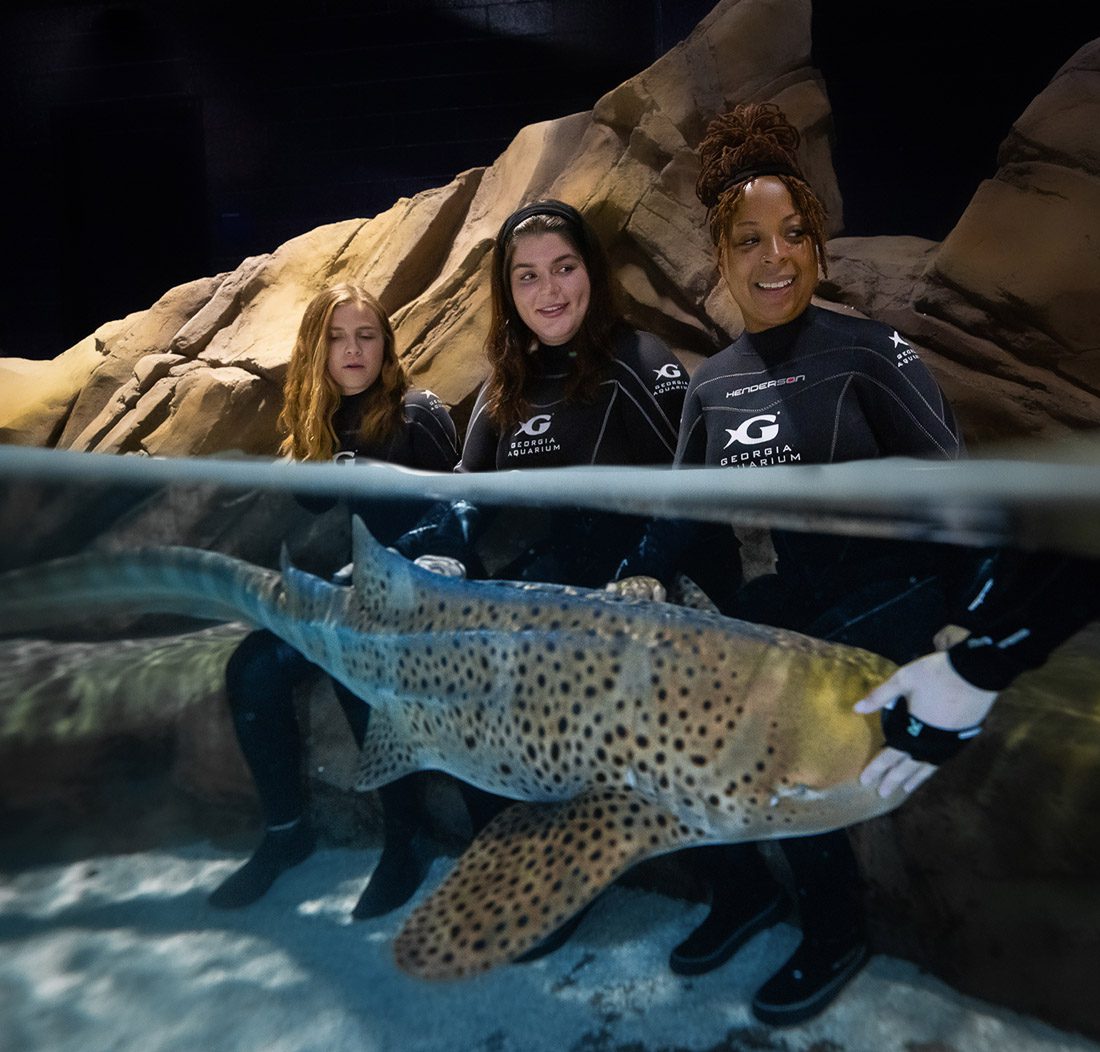 With the Shark & Ray Interaction at the Georgia Aquarium, recipients get up-closeand- personal with marine life.